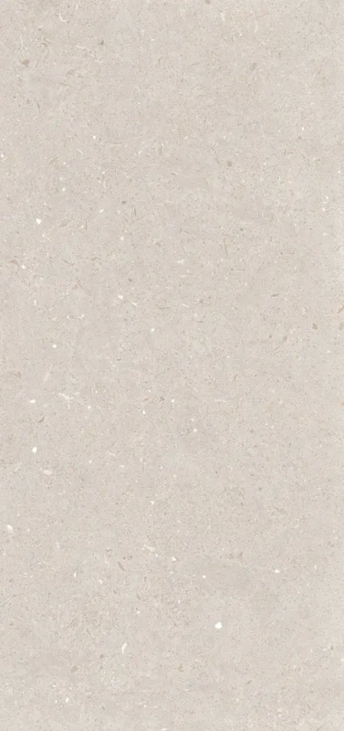 Керамогранит Simpolo Fossil 59,8х119,8
