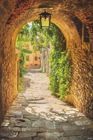 Странная арка Art.30718